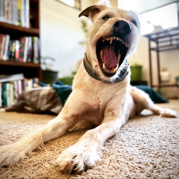 NOT FOR SALE - Picture 2 of 3